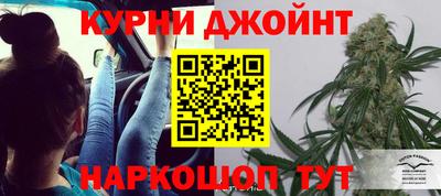 ГАЛЛЮЦИНОГЕННЫЕ ГРИБЫ Малгобек