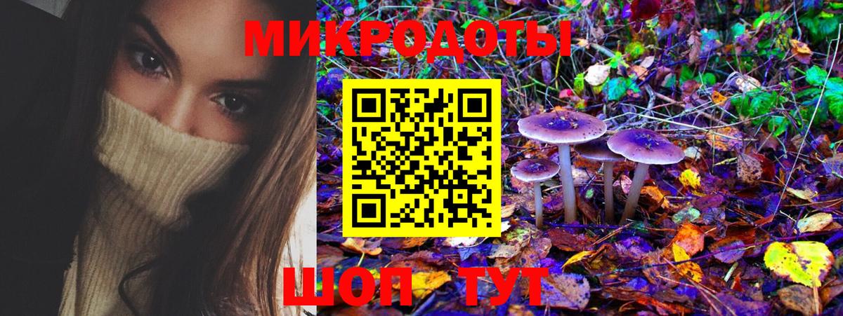 Псилоцибиновые грибы GOLDEN TEACHER  магазин  наркотиков  Сыктывкар  Вход с VPN 